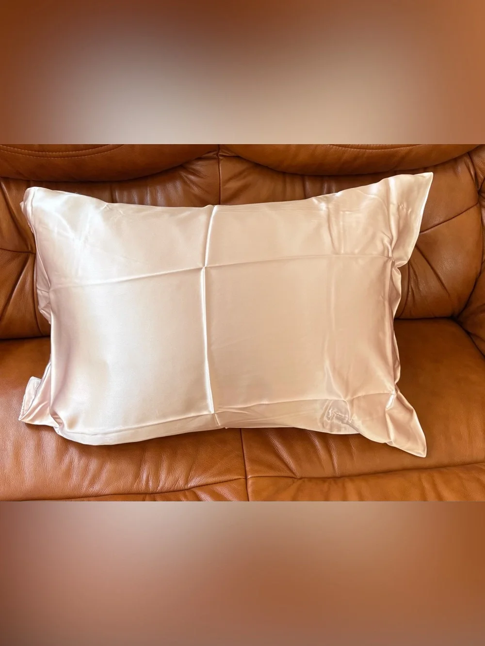 NWB 2 Pack Standard Silky Pillow Cases